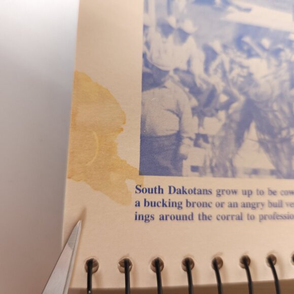 South Dakota Centennial Cookbook 1889-1989 SD Capitol Club Book‎ 5th Printing - Picture 13 of 15